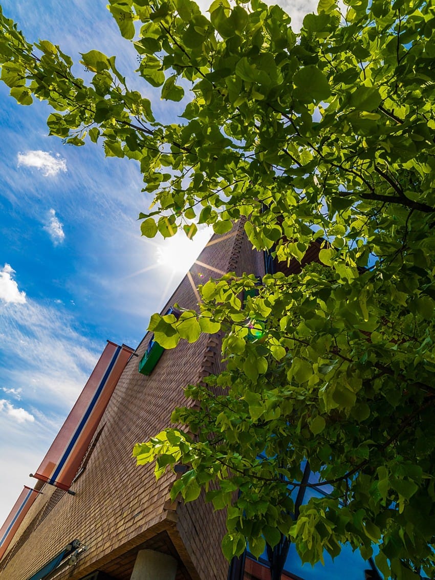 Lavvinklet visning av en murbygning delvis skjult av grønne grønne grener under en blå himmel med skyer. Foto: Nathan Lediard, Lediard Foto AS.