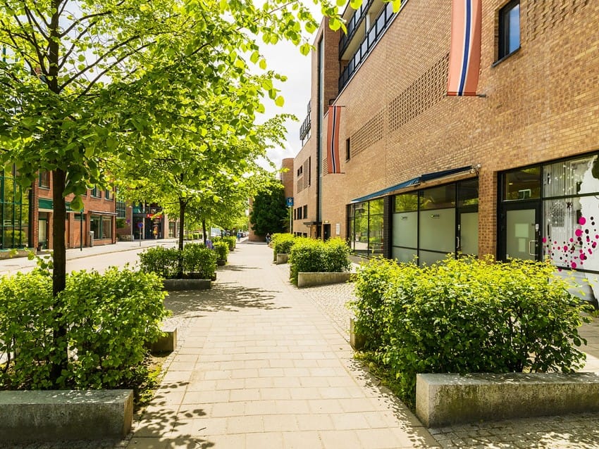Asfaltert gangvei omkranset av grønne busker og trær, ved siden av en murbygning på en solrik dag. Foto: Nathan Lediard, Lediard Foto AS.