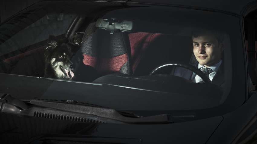 En person som kjører bil med en hund sittende i passasjersetet foran, begge synlige gjennom frontruten. Foto: Nathan Lediard, Lediard Foto AS.